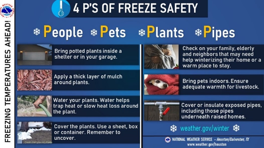 4 Ps of Freeze Safety